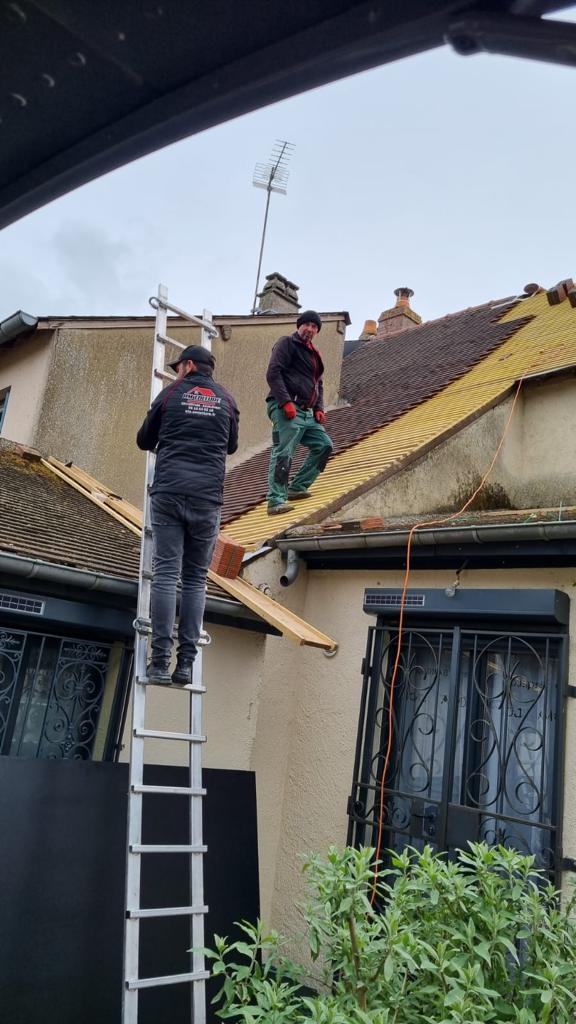 d5c32935 c7a3 4420 97e3 cb0ccf8e6dae